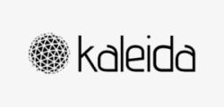 Kaleida1-300x150