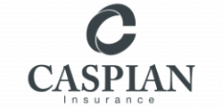 caspian-insurance-logo-grey-300x125